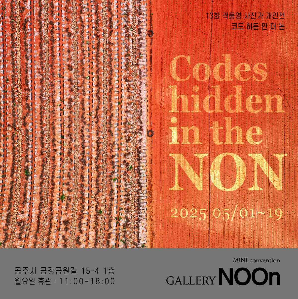 제13회 개인전 Codes hidden in the NON